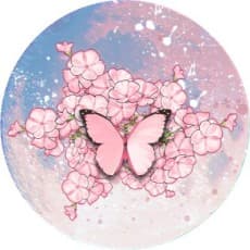 Hana Baek