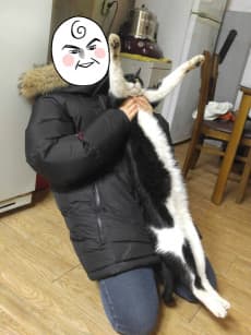 Hongkki