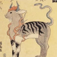Nobutaka Shinya