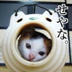 Yuu Godai