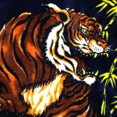 Shingo Towaduki