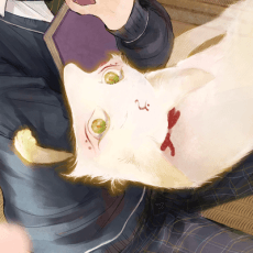 Himako Neko