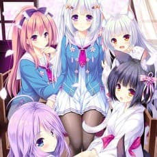 Satori Mizuki