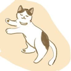 Neko Shakushi