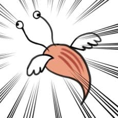 Sou Hajikano