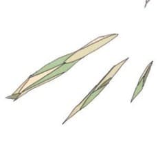 Zero Akabane