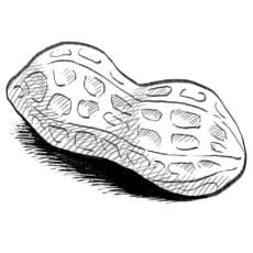 Ttangkong