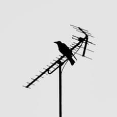 En