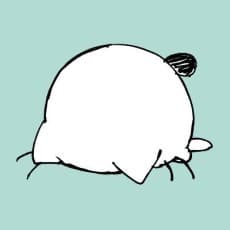 An Chanoki