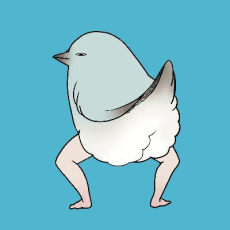 Sajima