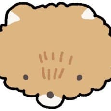 Ilgongi