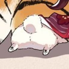 Akinoko