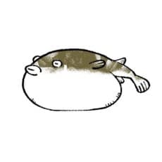 Fuku Kajii