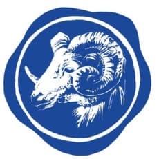 Taisei Kido