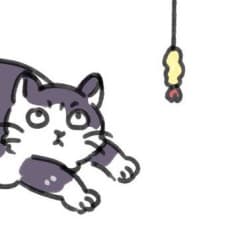 Unicica