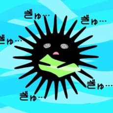 Iga Uni