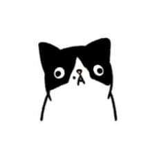 daichi