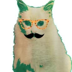 Shinri Fuwa