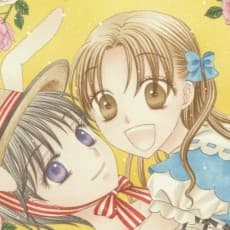 Tachibana Higuchi