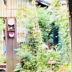 Akira Sugano