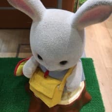 Kanao Araki