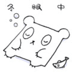 Mikami Akitsu