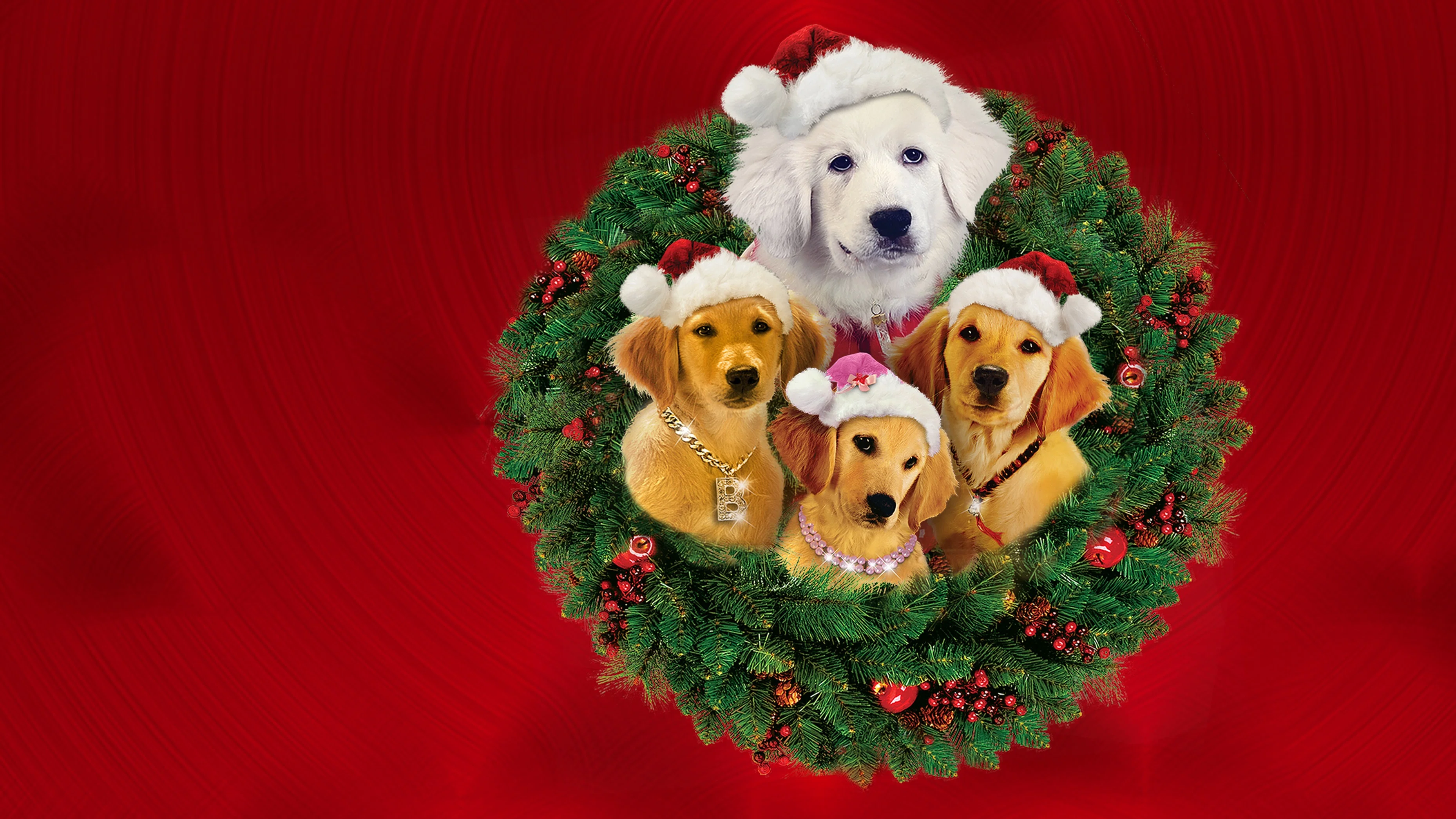 Les Copains fêtent Noël