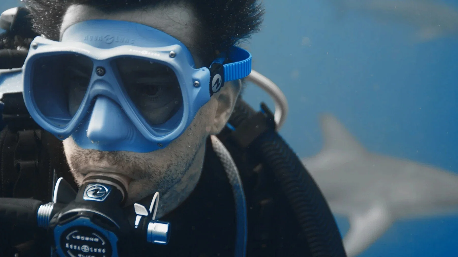 Couverture de Interview with a shark