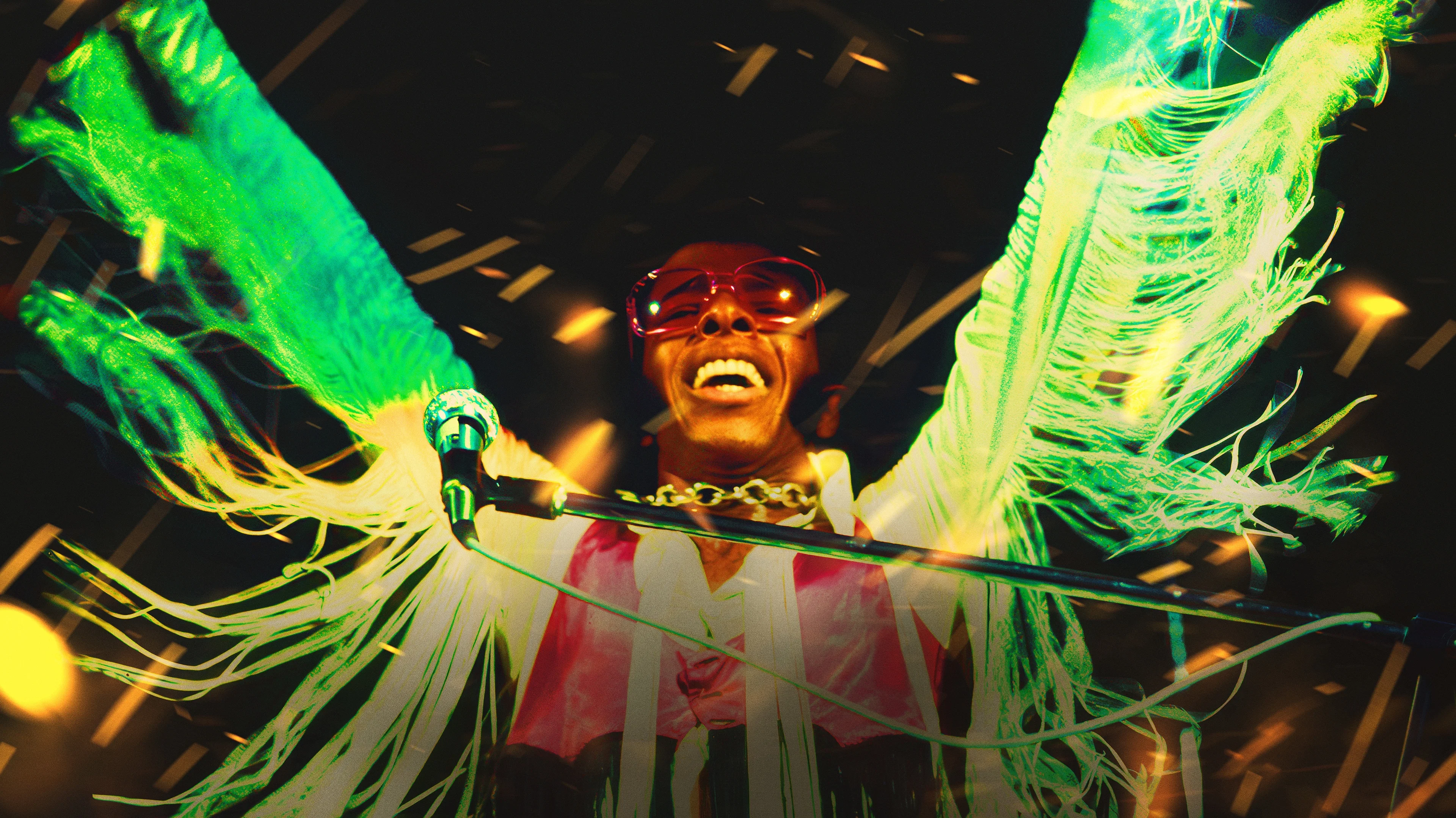 Couverture de Sly & The Family Stone : L'Héritage