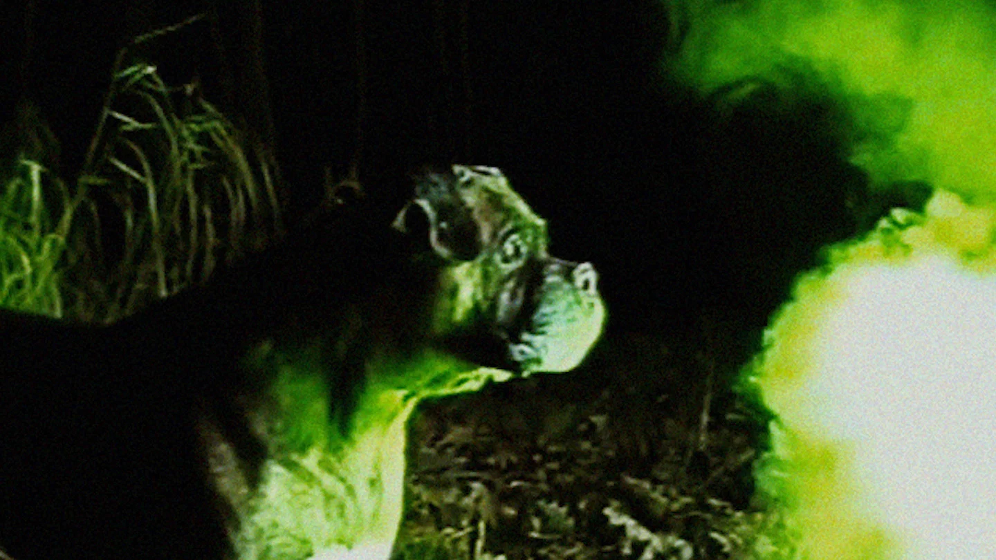 Couverture de Bonkey: The Mutated