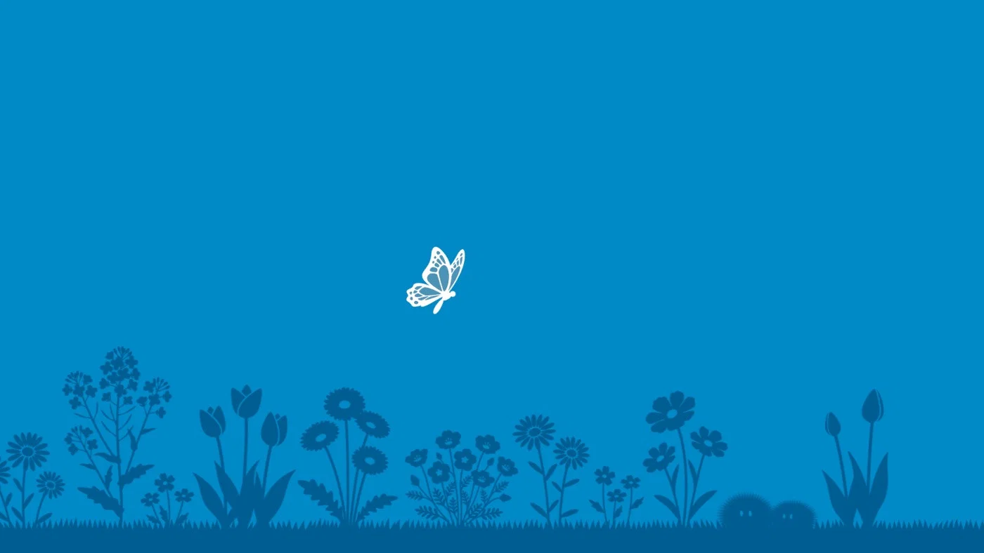 Couverture de Spring