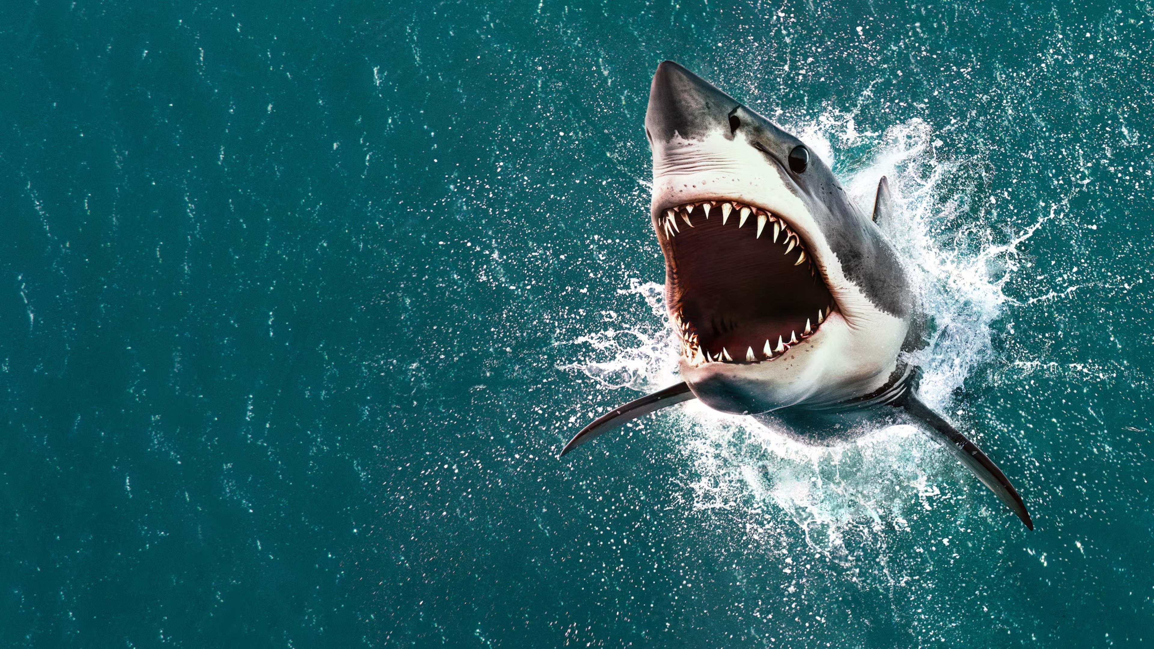 Couverture de Air Jaws: The Hunt for Colossus