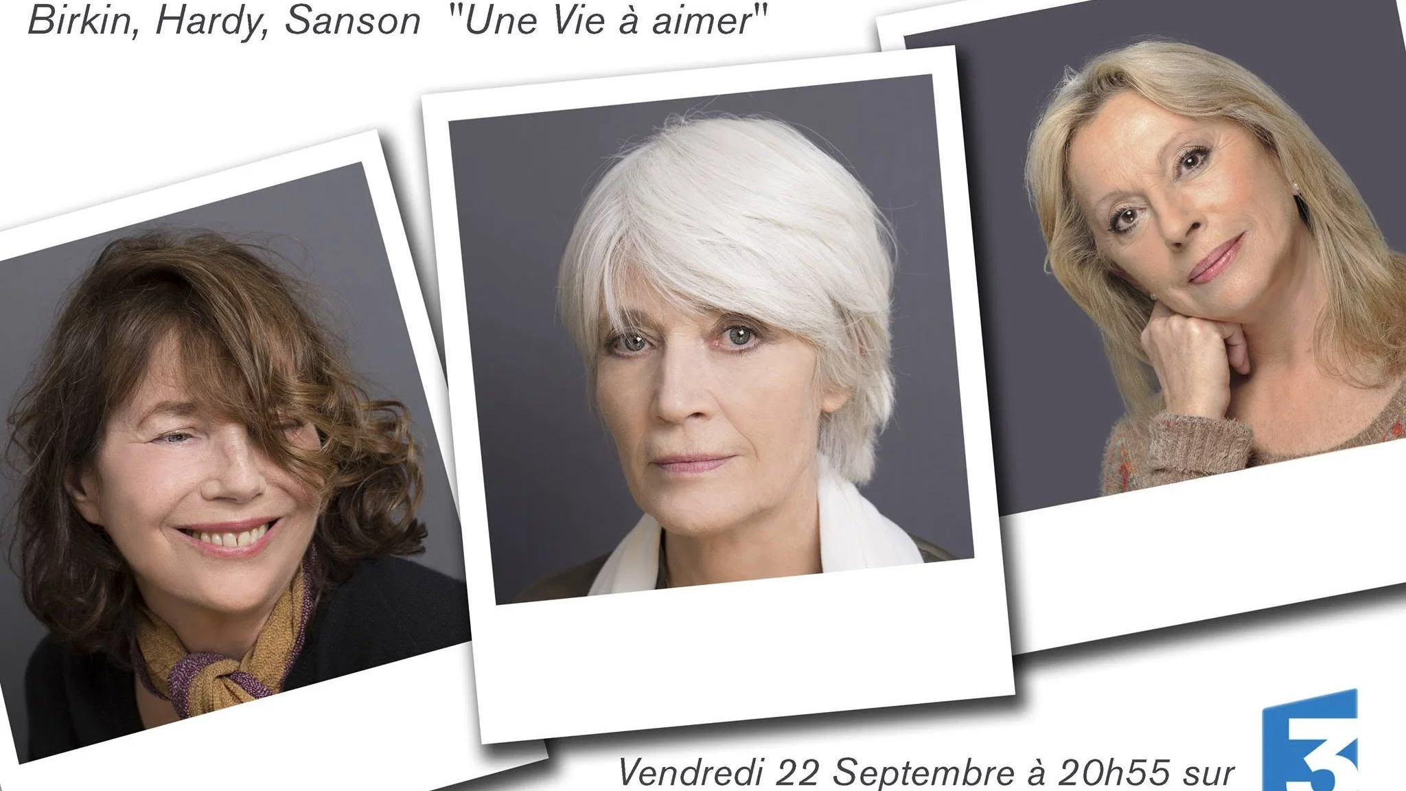 Couverture de Birkin, Hardy, Sanson, une vie à aimer