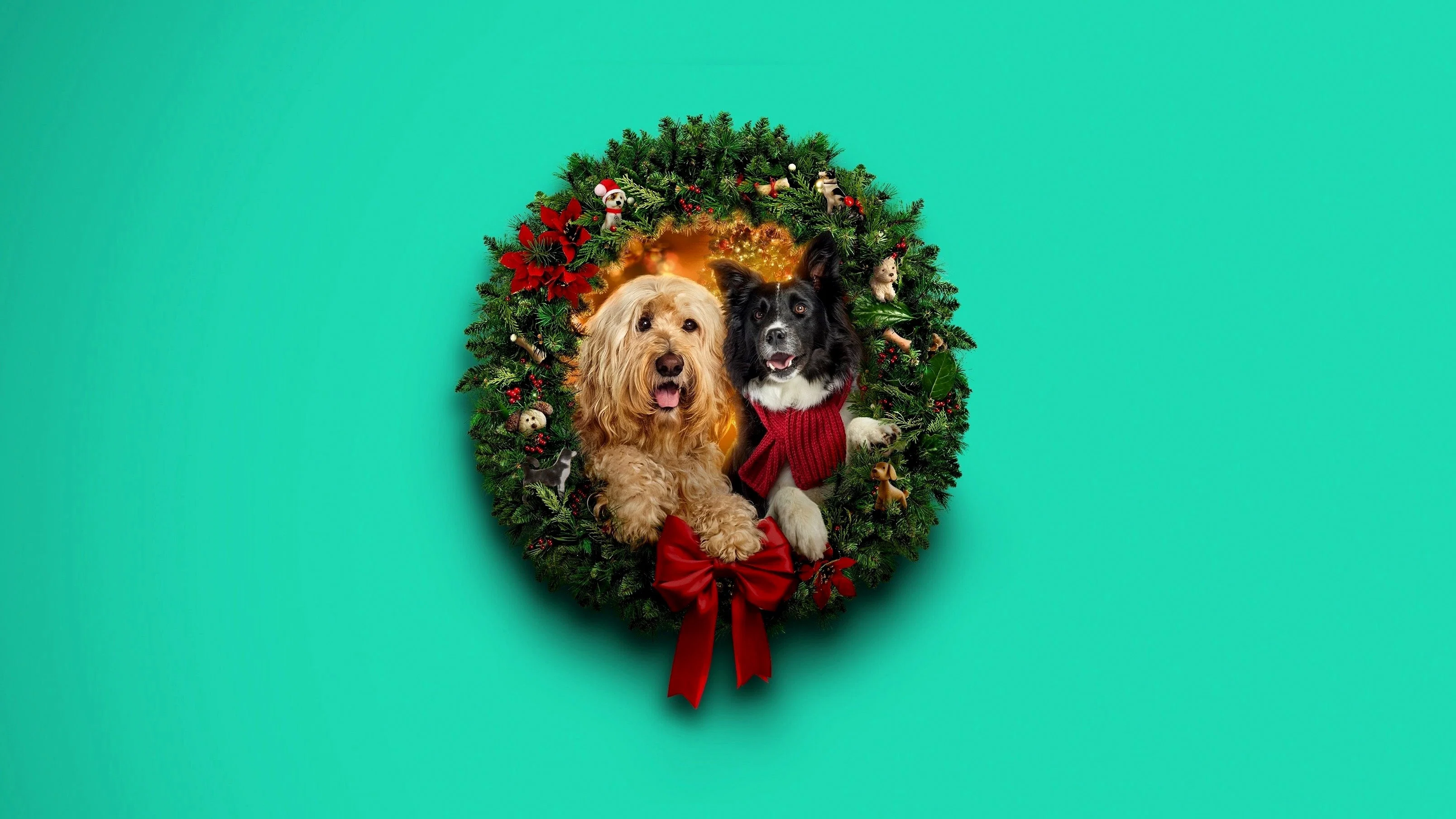 Un Noël au poil !