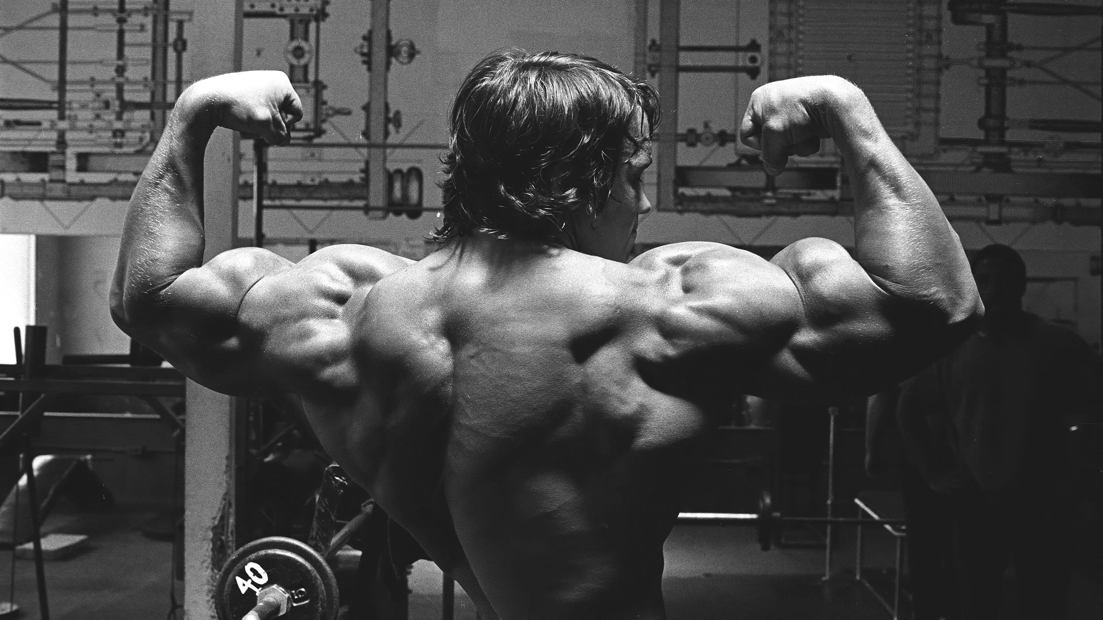 Couverture de Arnold le magnifique