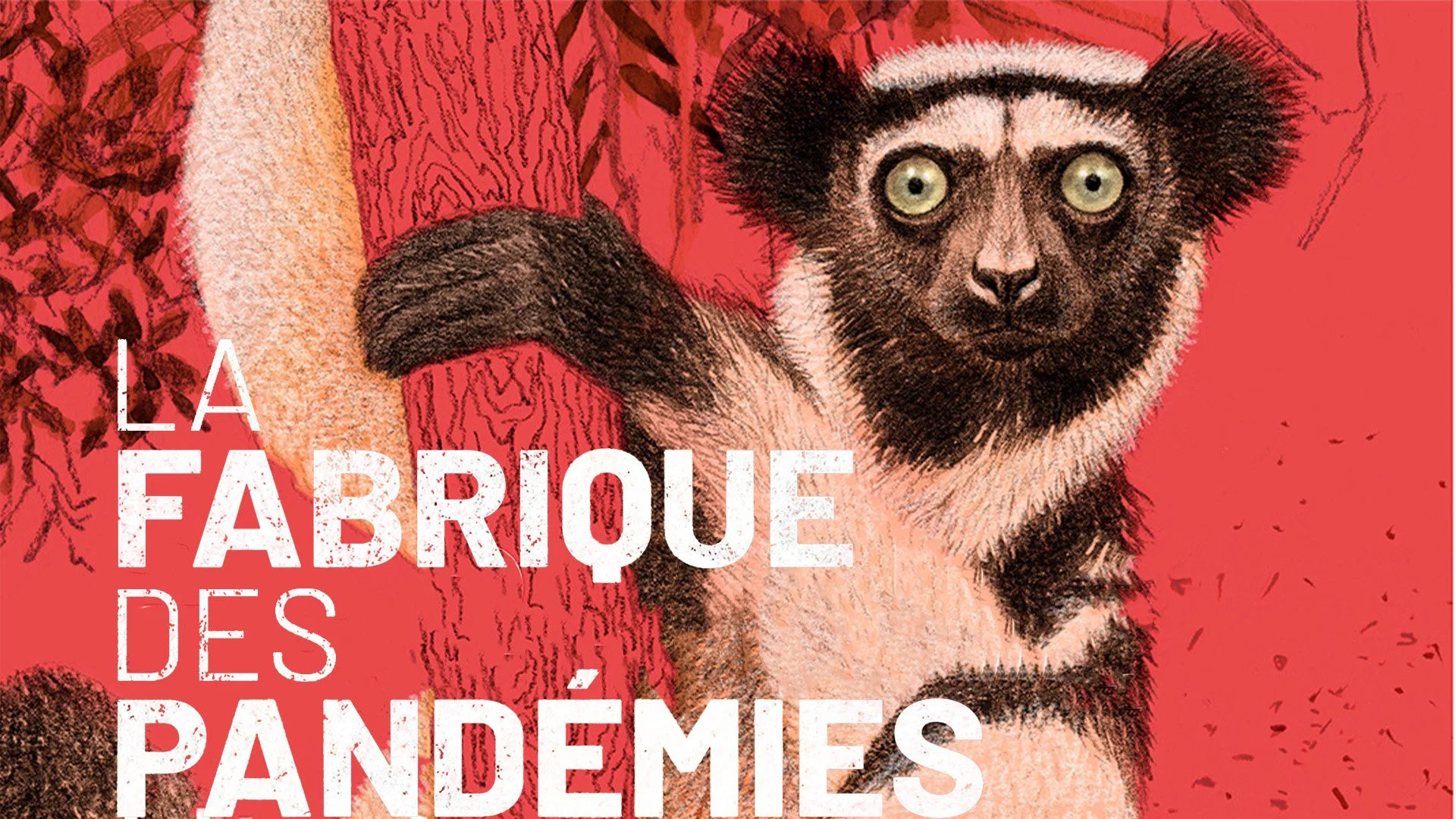Couverture de La fabrique des pandémies