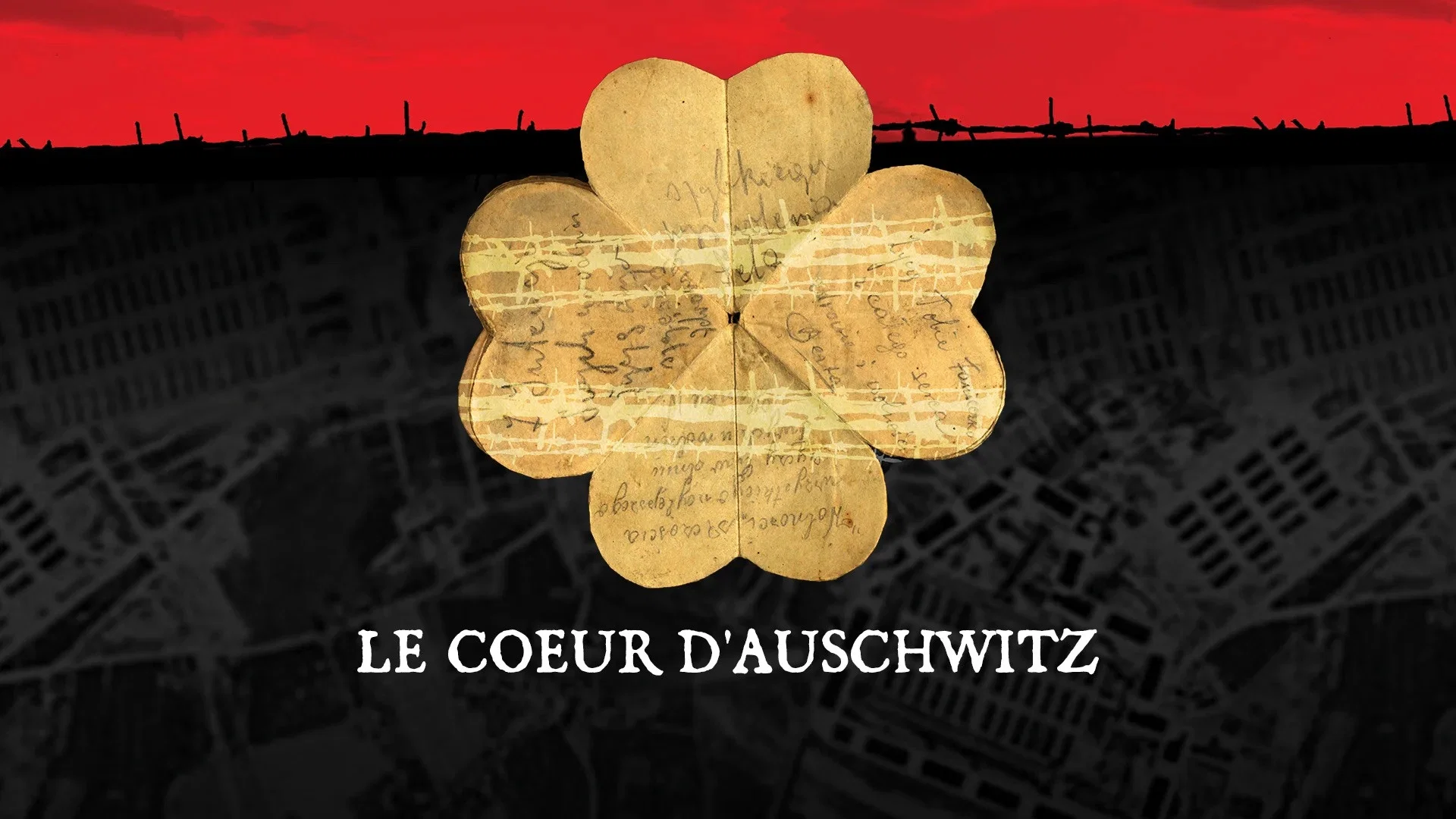 Couverture de Le coeur d'Auschwitz