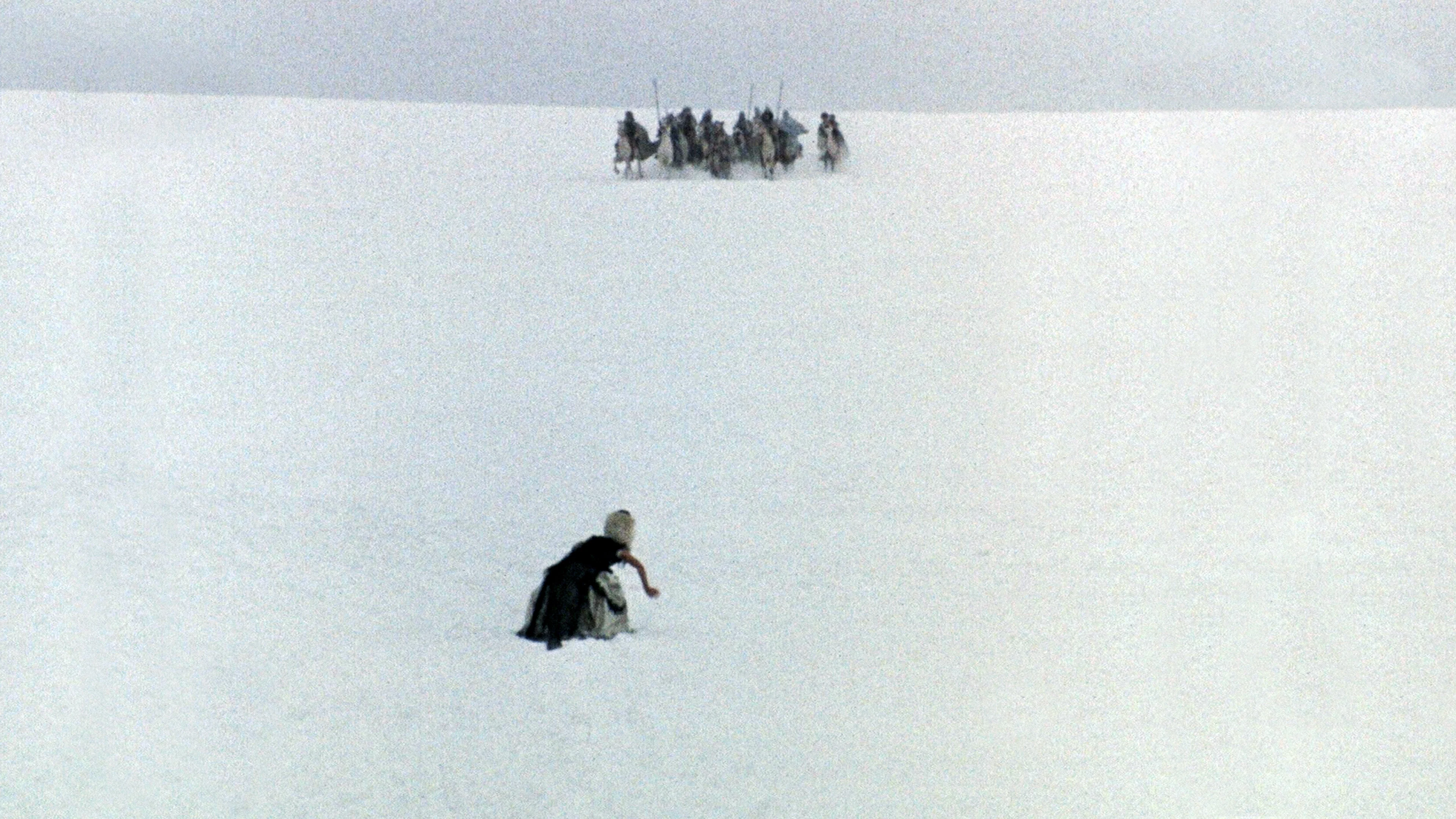 La Chasse sauvage du roi Stakh