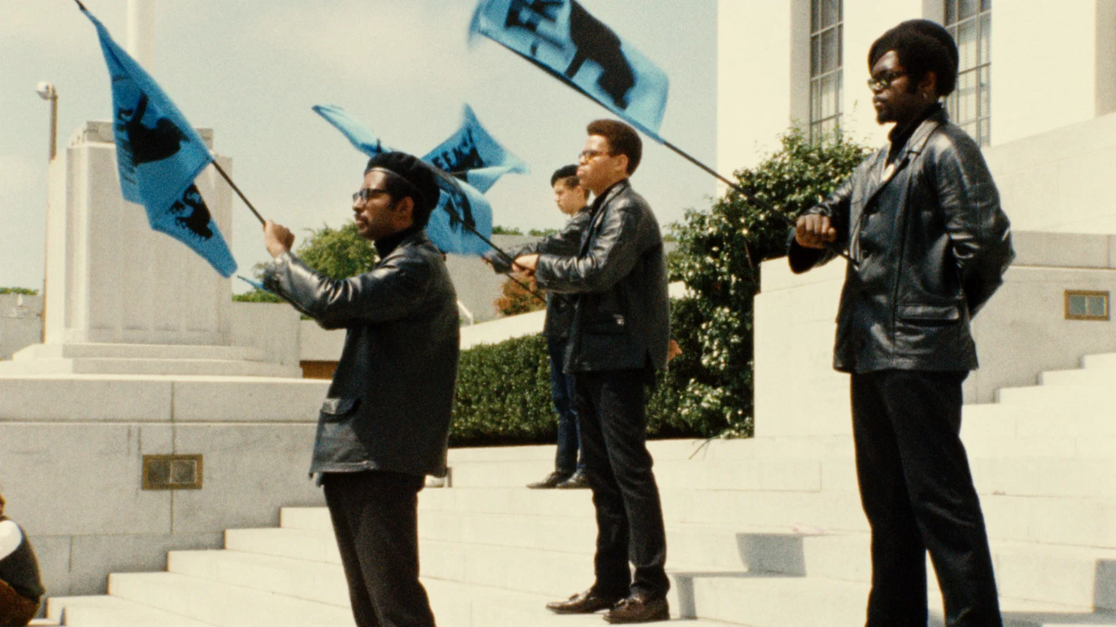 Couverture de Black Panthers