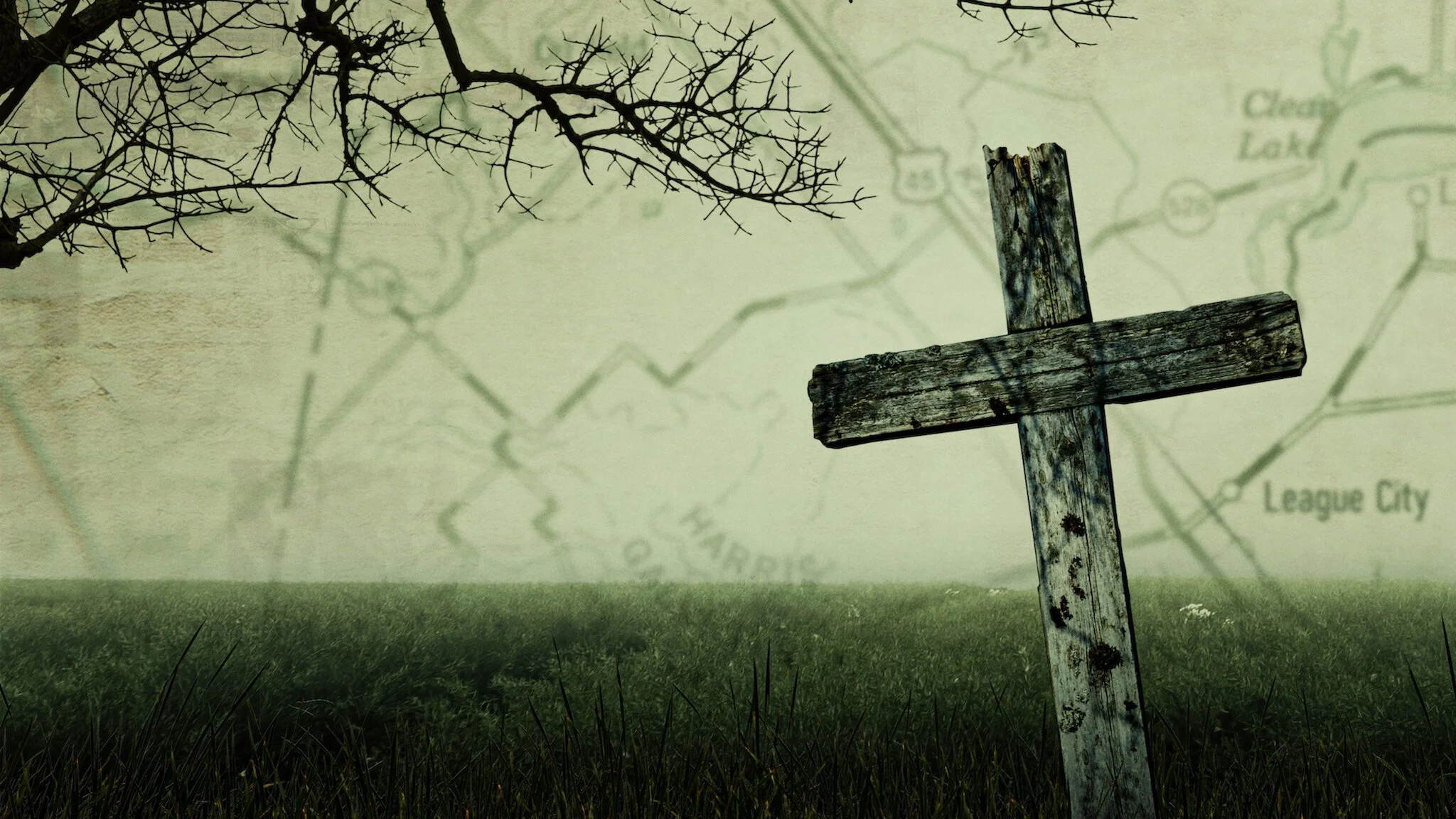 Couverture de Scène de crime : Les champs macabres du Texas