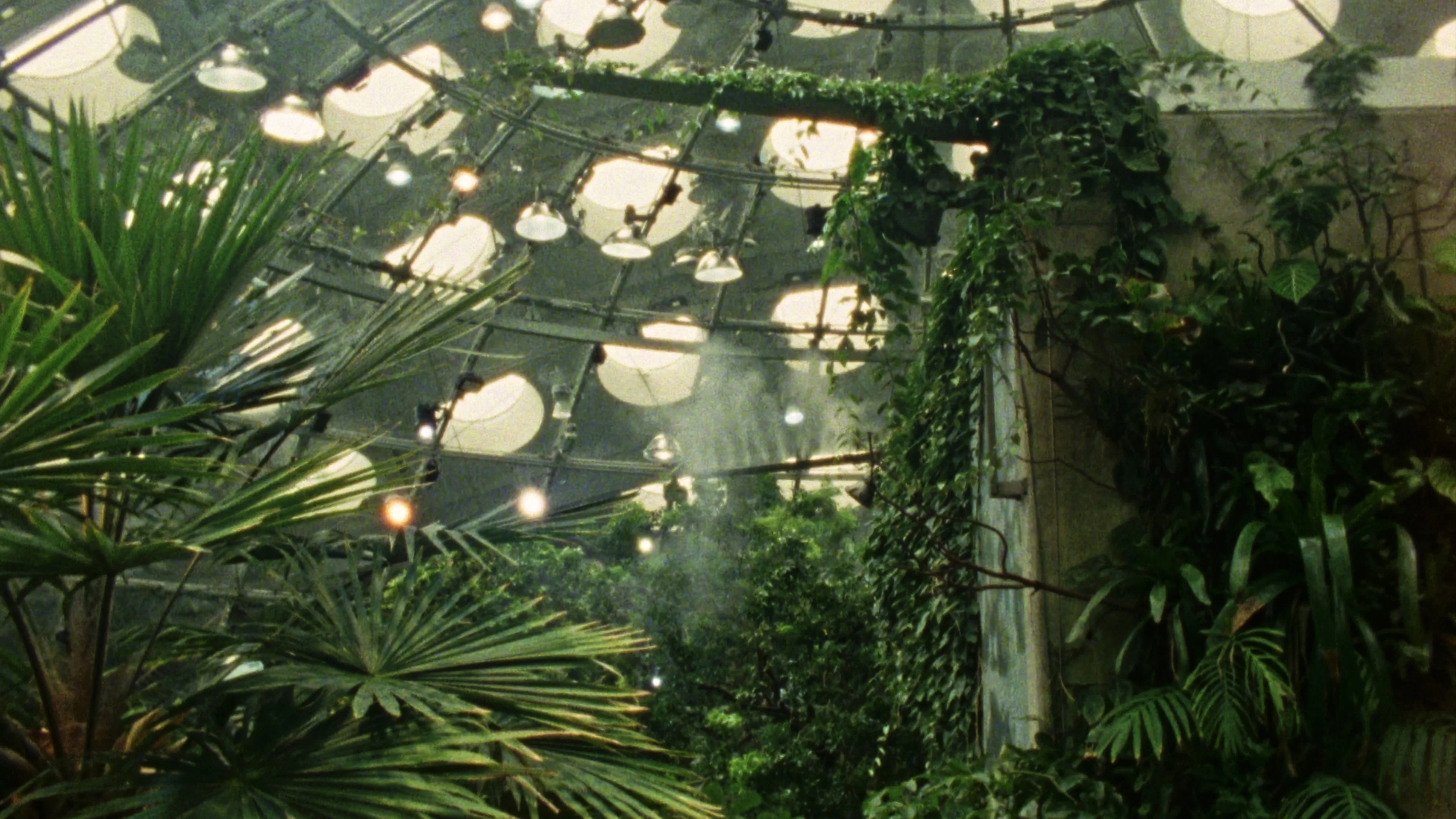 Fractais Tropicais