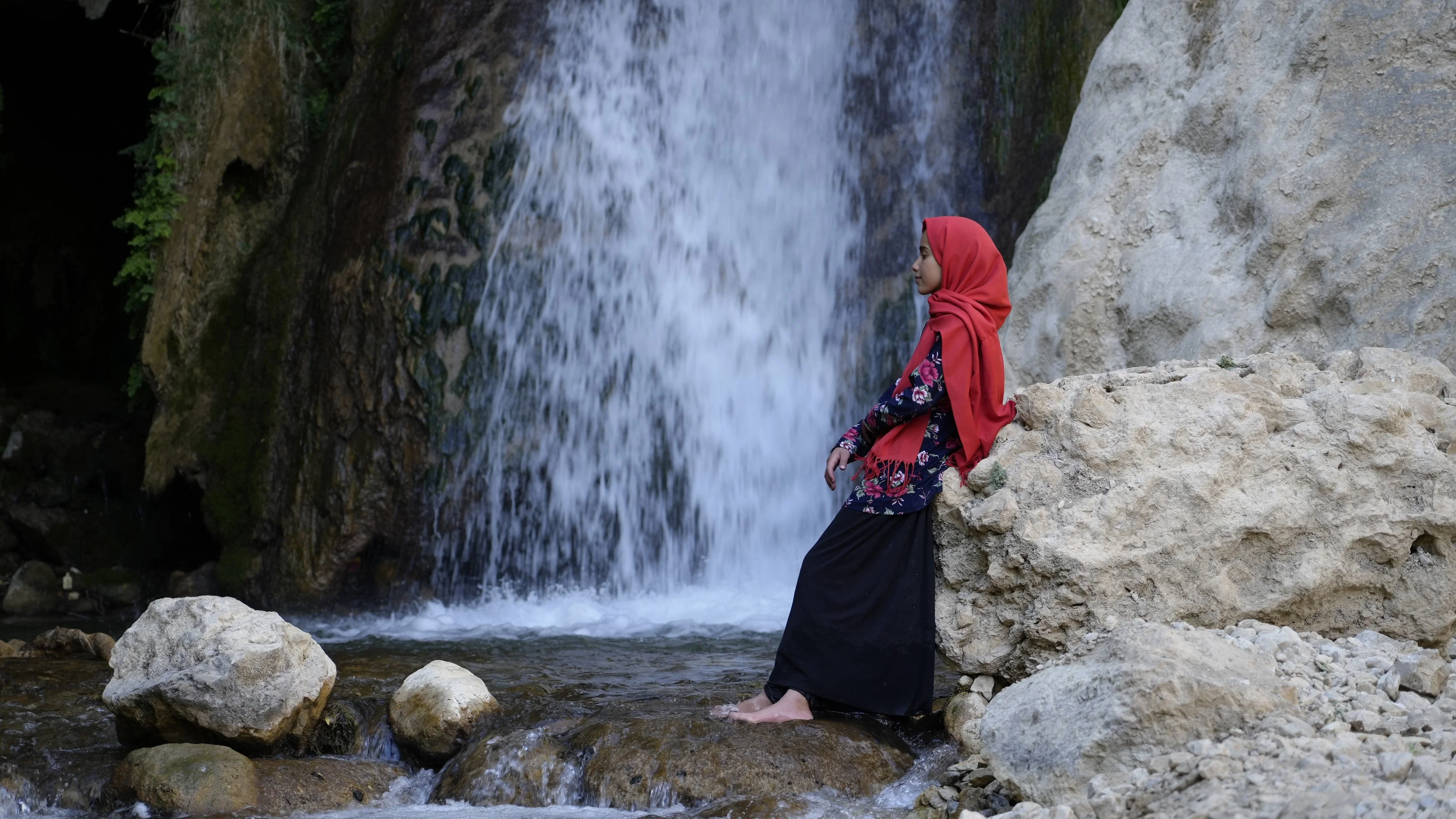 Couverture de خواب بلوطهای وحشی