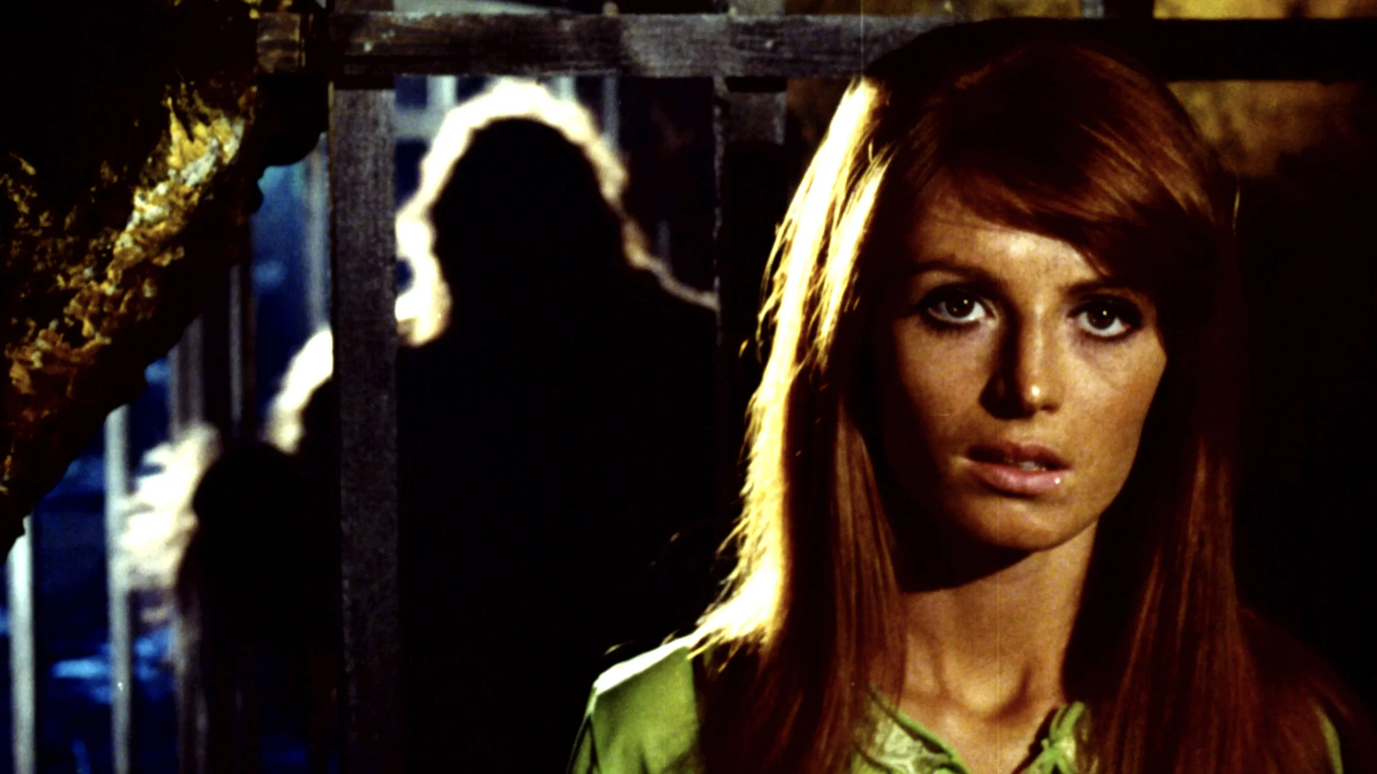 Jungle 2000
