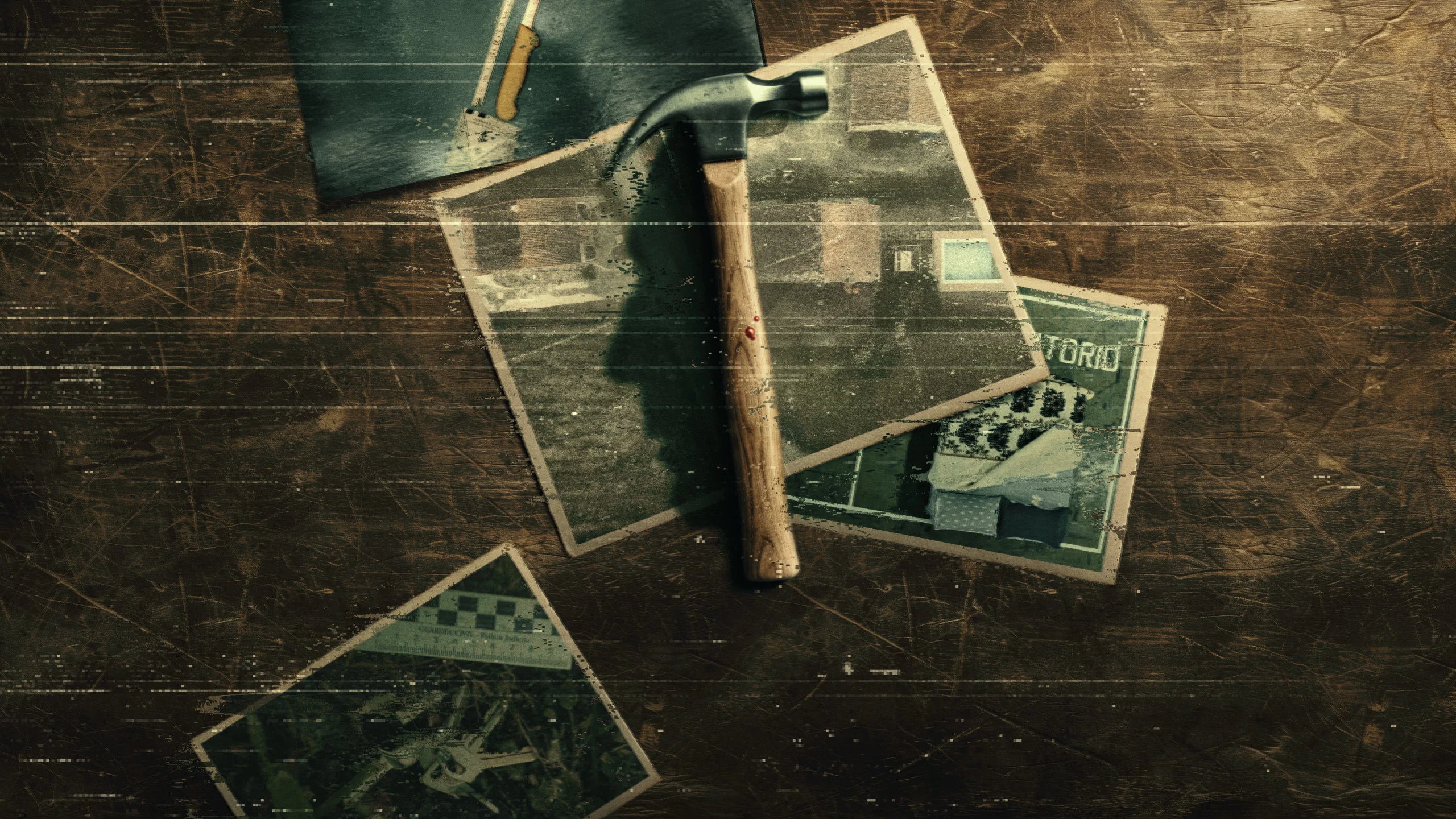 Couverture de Desprotexida: el crimen de Pazos
