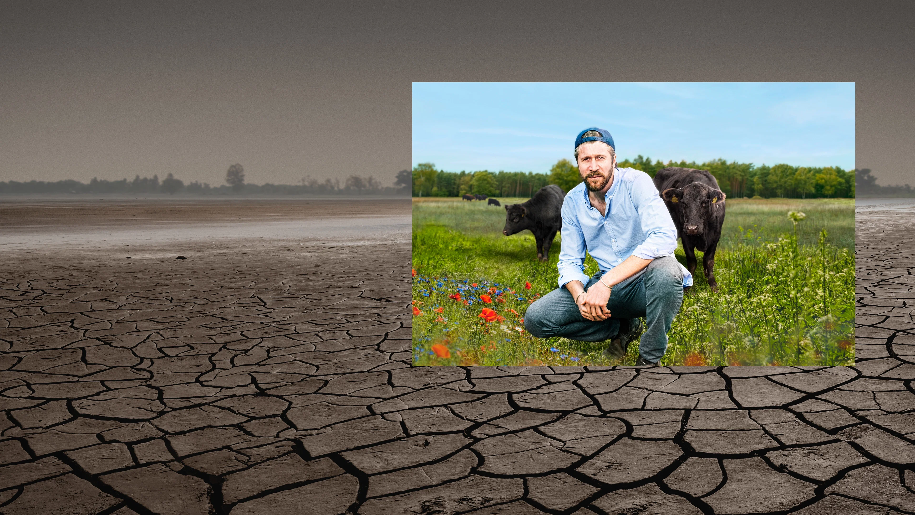 Couverture de La révolte agricole