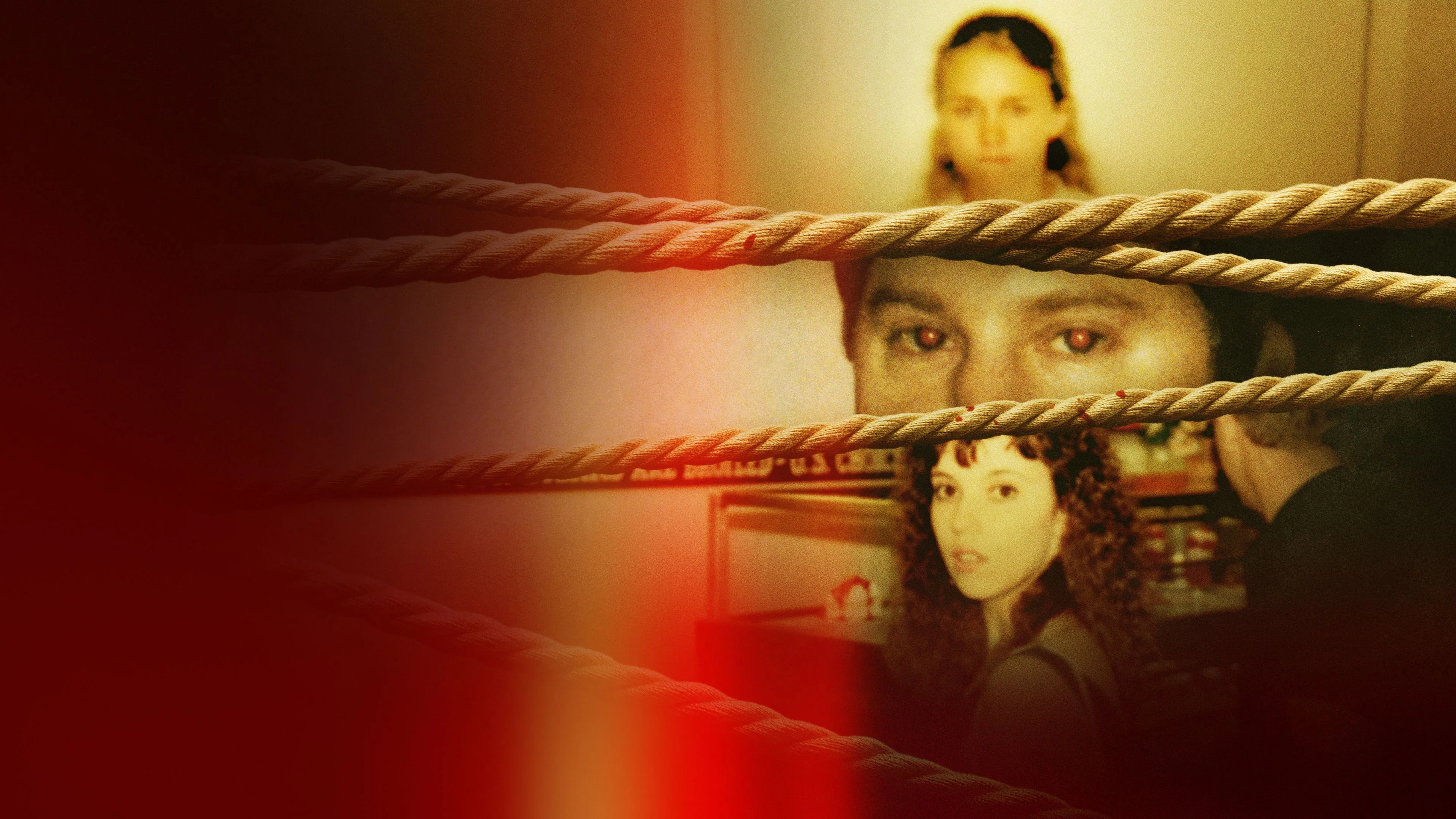 Couverture de The Serial Killer Connection