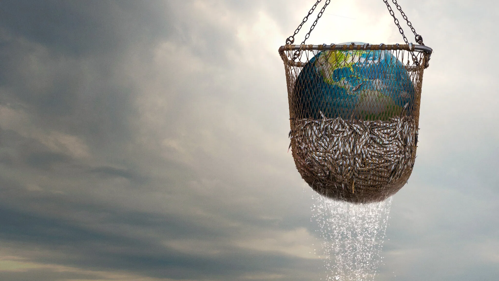 Couverture de Seaspiracy : La pêche en question