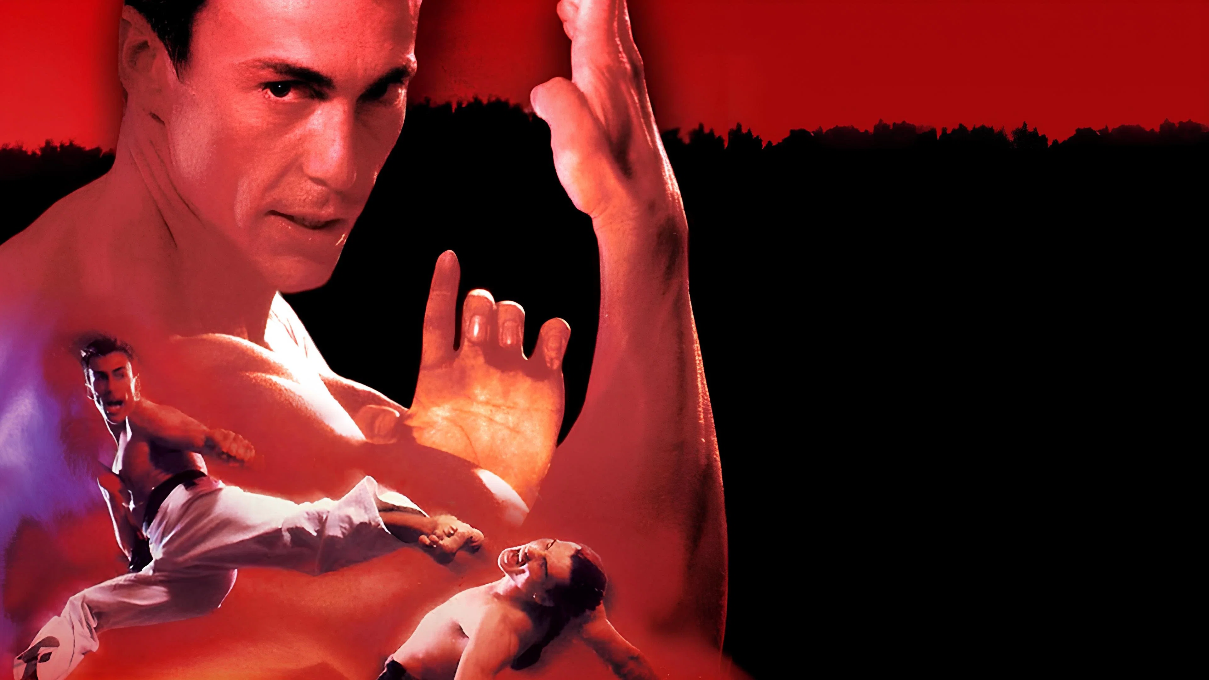 Couverture de Bloodsport 2