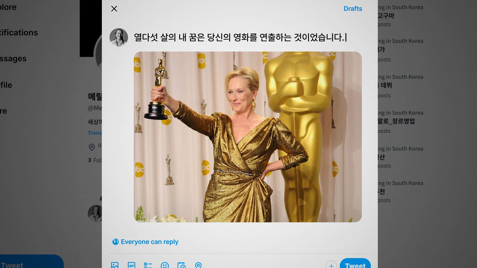 Couverture de 메릴 스트립 프로젝트