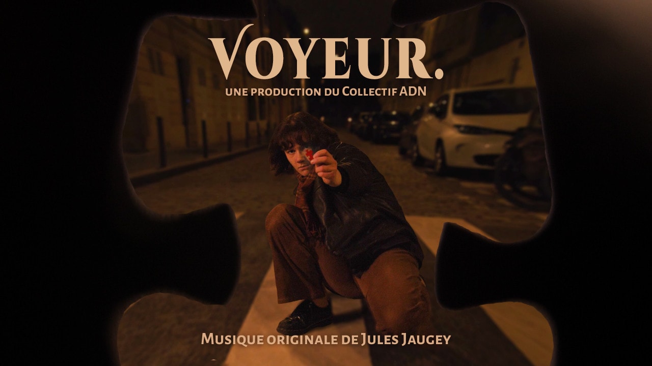 Couverture de Voyeur